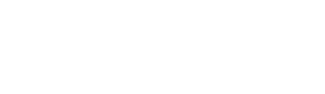 Логотип Невское страхование